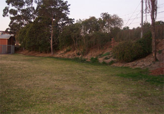 delaneyroadrenovations.jpg